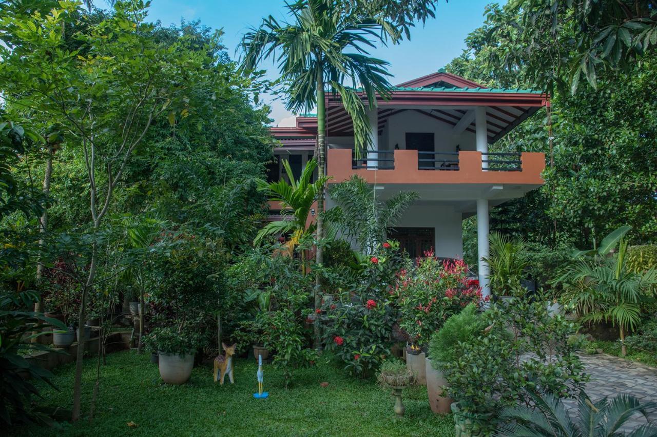 Sadee'S Place Dambulla Exterior photo